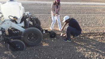 Veris-sampling