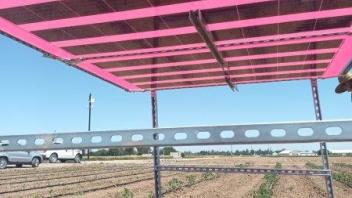 agrovoltaic-red