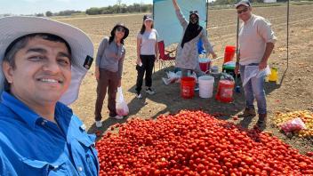 harvest