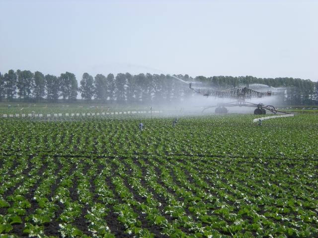 On farm irrigation